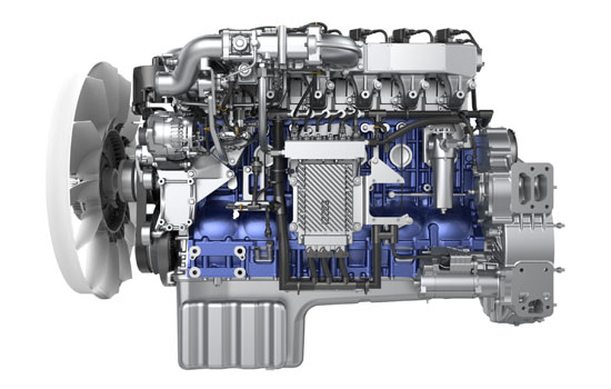 龙8头号玩家(国际)官方网站