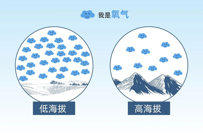 龙8头号玩家(国际)官方网站
